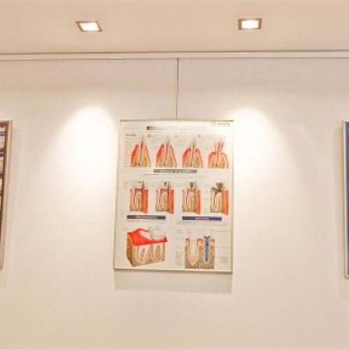 CLÍNICA PIFERRER, S.C